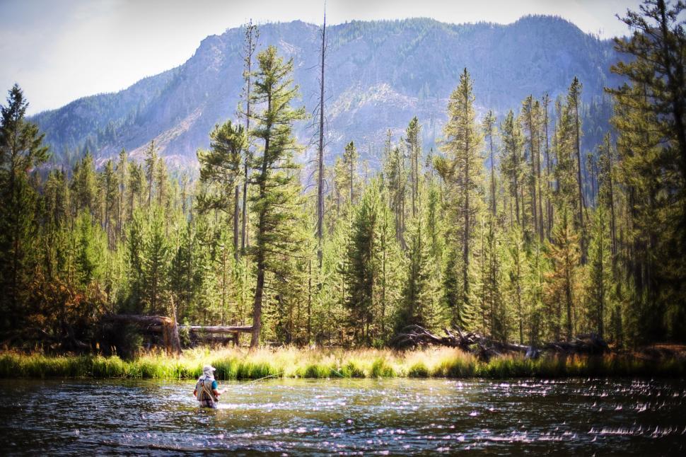 Free Image of Fisherman in Lake with Trees and Mountains  