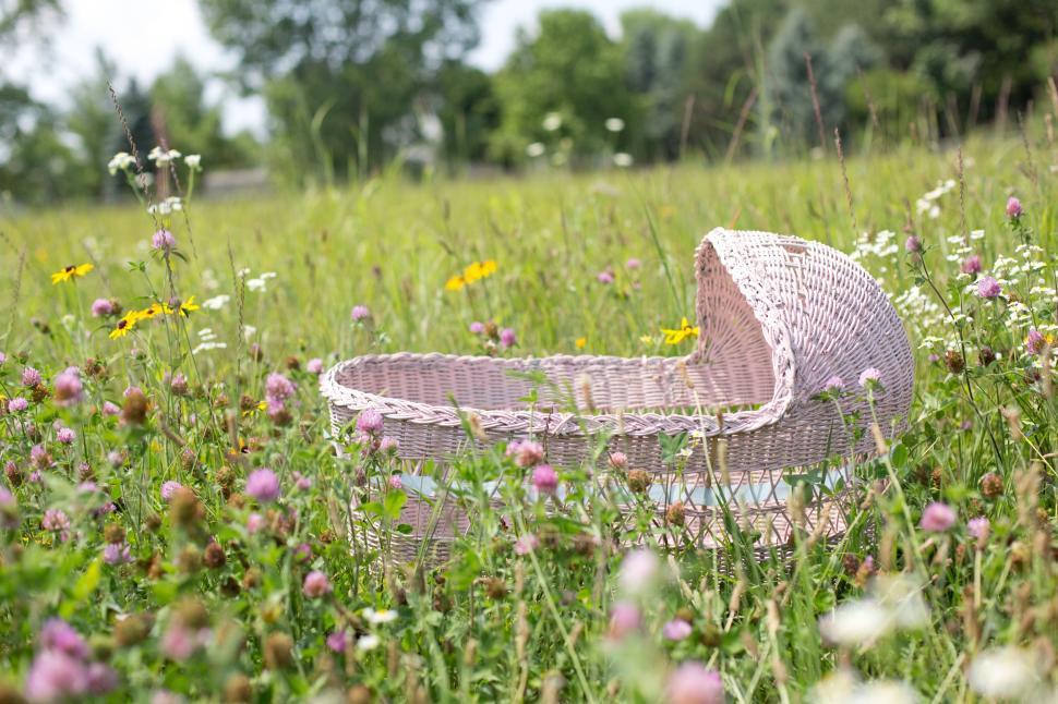 Free Image of Baby bassinet 