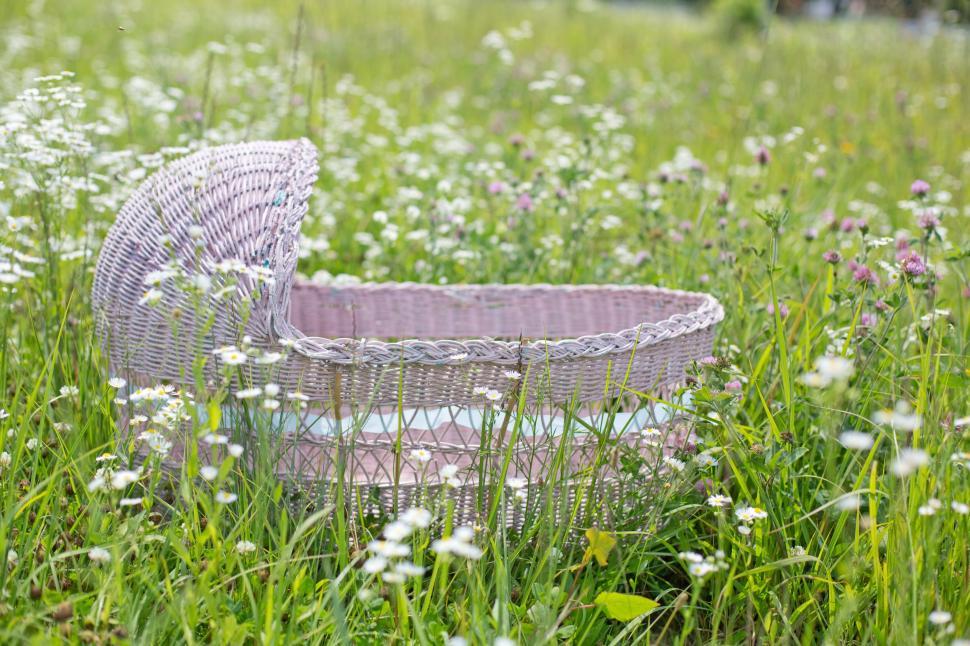 Free Image of Bassinet cradle 