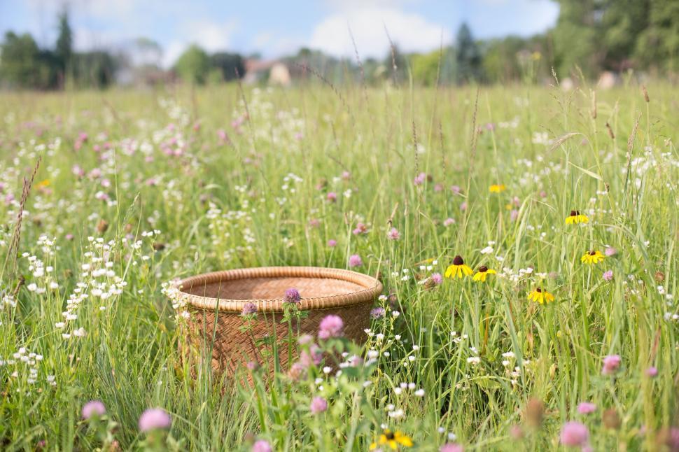 Free Image of Wicker Basket  