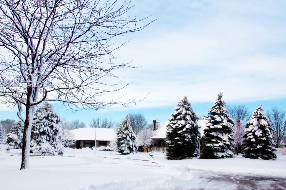 Free Image of Trees and Houses in Snow  