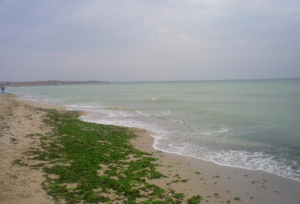 Free Image of Deserted Beach 