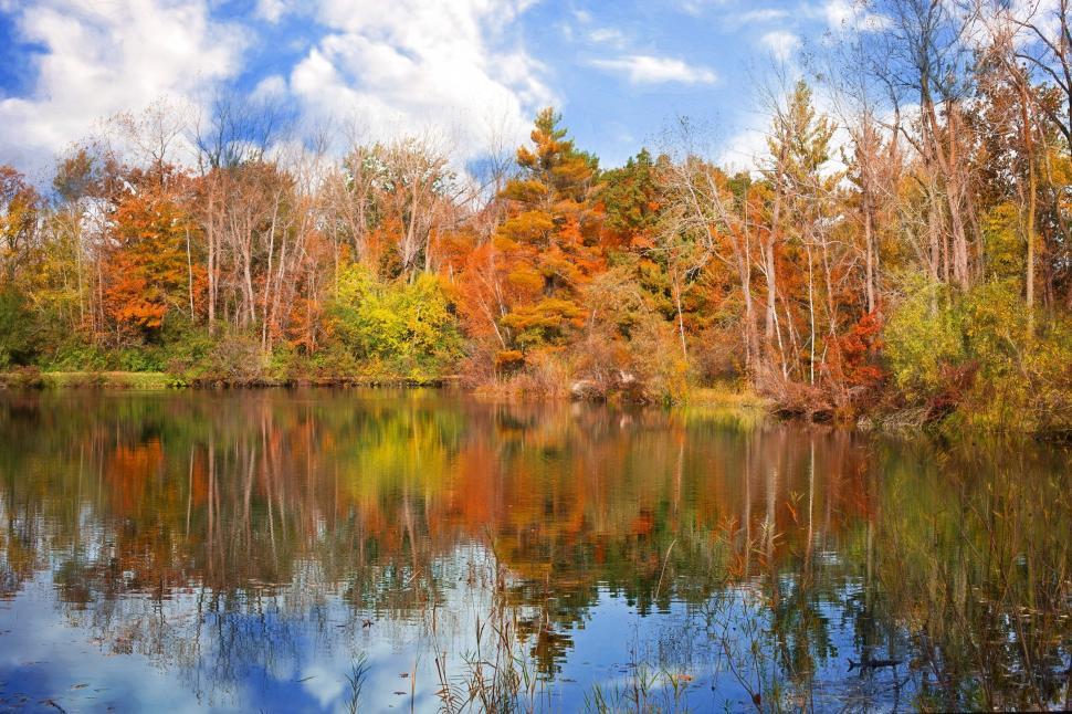 Free Stock Photo of Autumn Trees and Lake | Download Free Images and ...