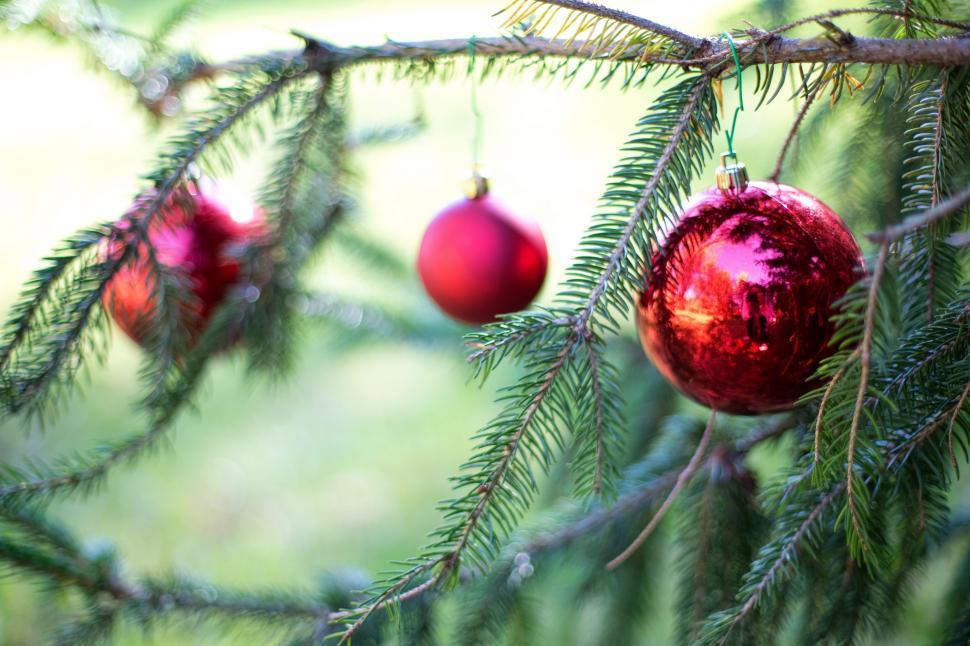 Free Image of Red Christmas Balls 
