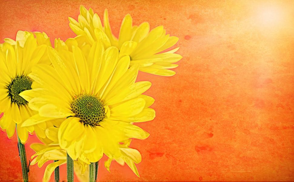 Free Stock Photo of Yellow Flowers - Painting | Download Free Images and  Free Illustrations