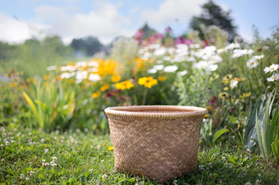 Free Stock Photo of Wicker Basket with Flowers Download Free Images