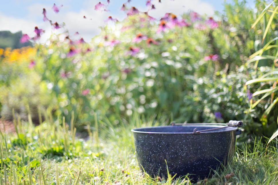 Free Image of Washtub 