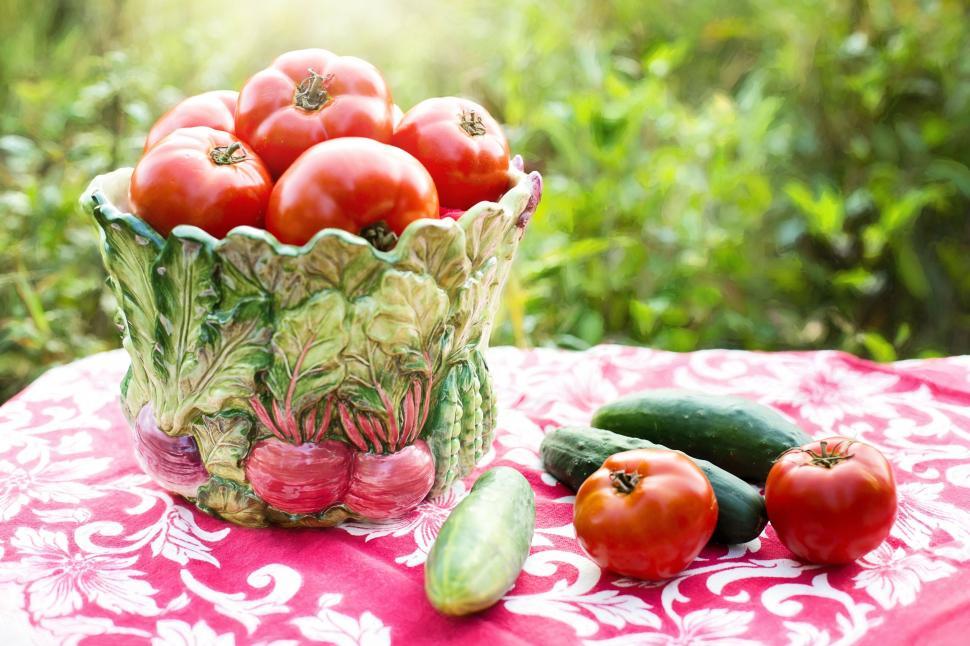 Free Image of Uncut Red Tomatoes  