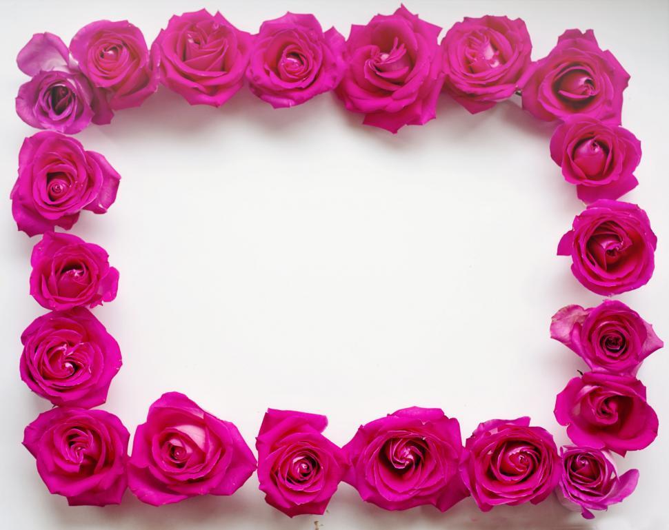 Free Stock Photo of Flower Background - Pink Frame