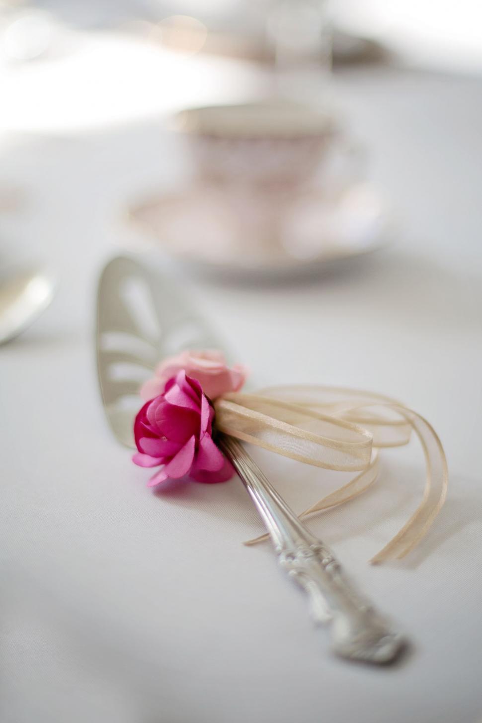 Free Image of Cake server on table 