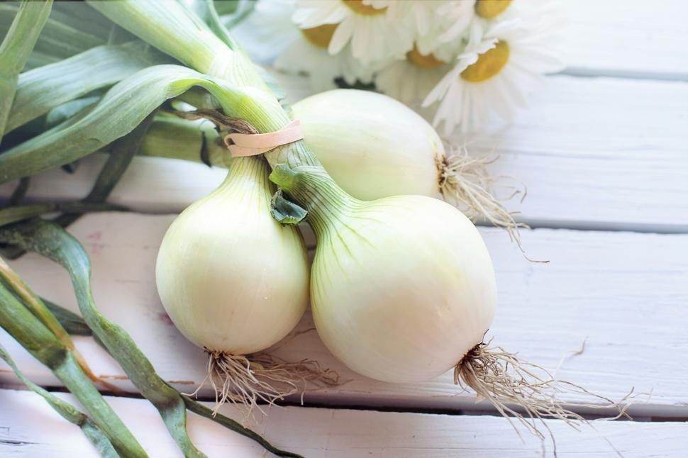 Free Image of Green Onions  