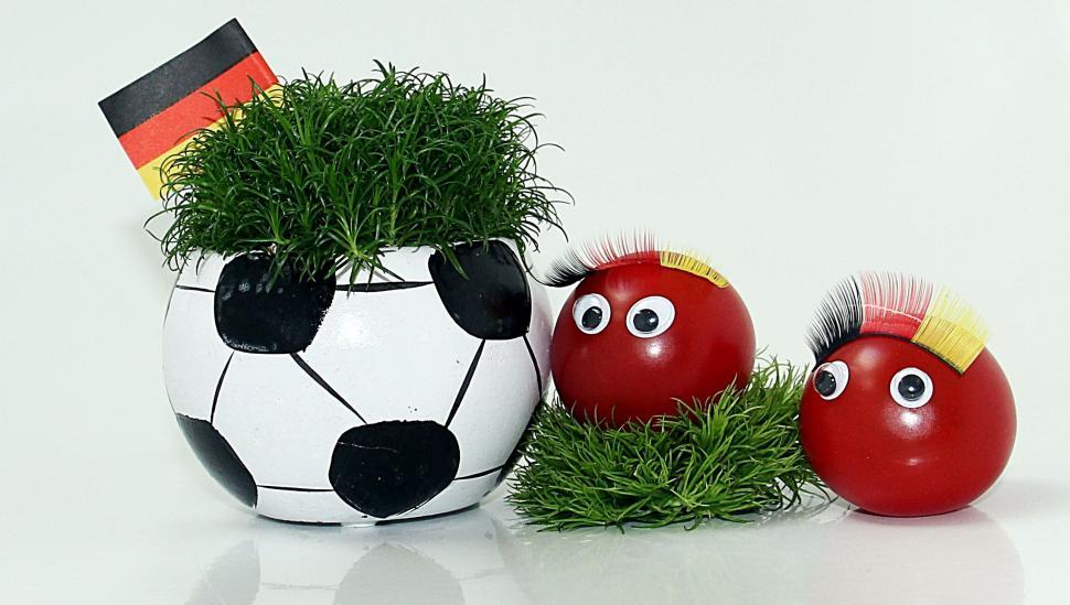Free Stock Photo of Football plant and tomatoes with googly eyes