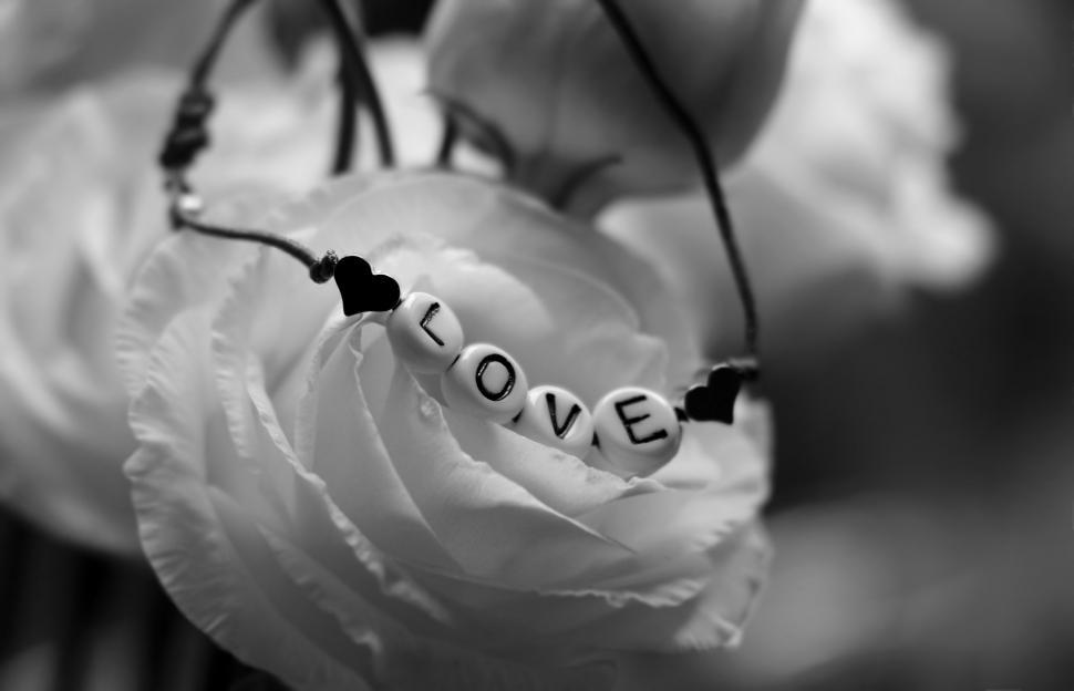 Free Image of Flower and Love Bracelet  