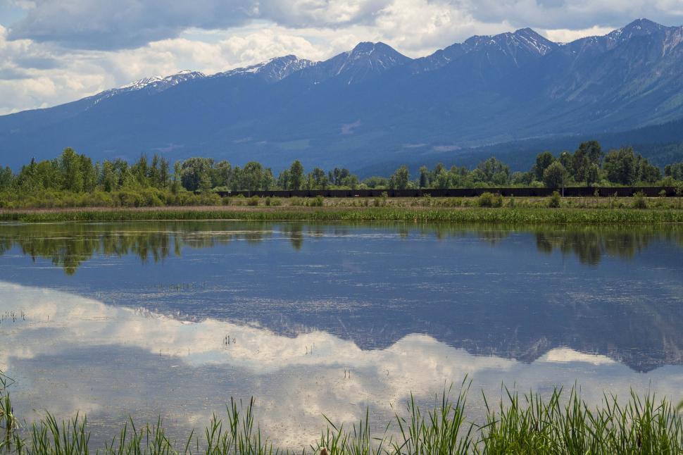 Free Image of Wetland  