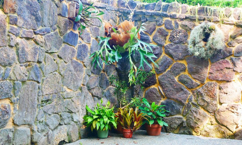 Free Image of Stone Wall 
