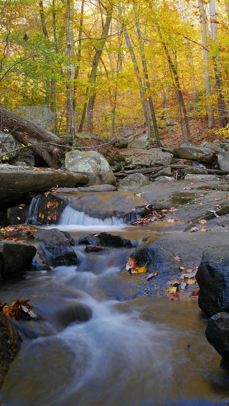 Free Stock Photo of Cascade in Forest At Hacklebarney State Park ...