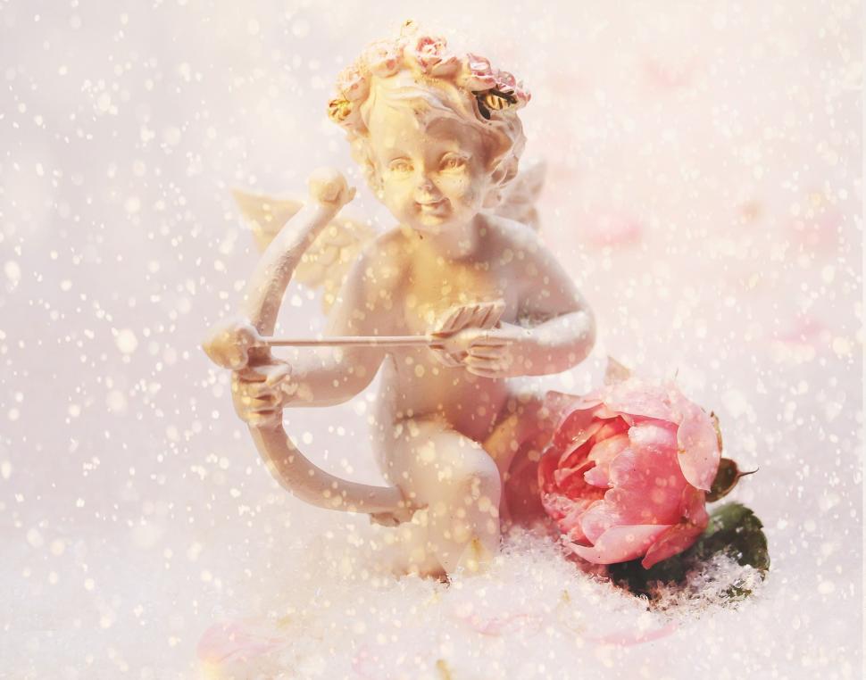 Free Stock Photo of Cupid and Flower Download Free Images and Free