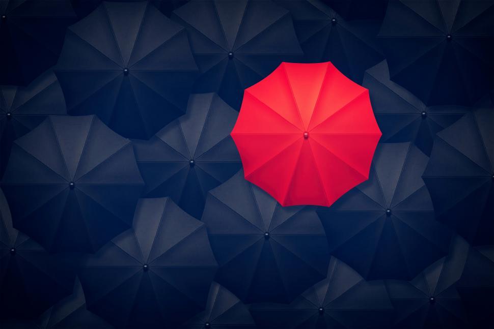 Free Stock Photo of Red Umbrella Contrasting With Black Umbrellas Be Different Download Free Images and Free Illustrations