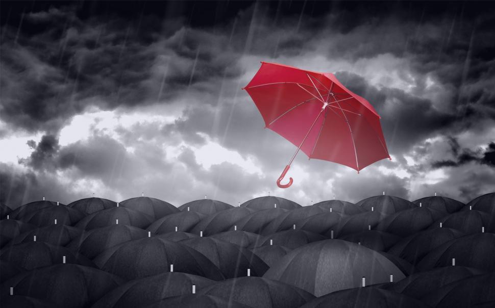 Free Stock Photo Of Red Colorful Umbrella And Black Umbrellas Being Different Conc Download Free Images And Free Illustrations