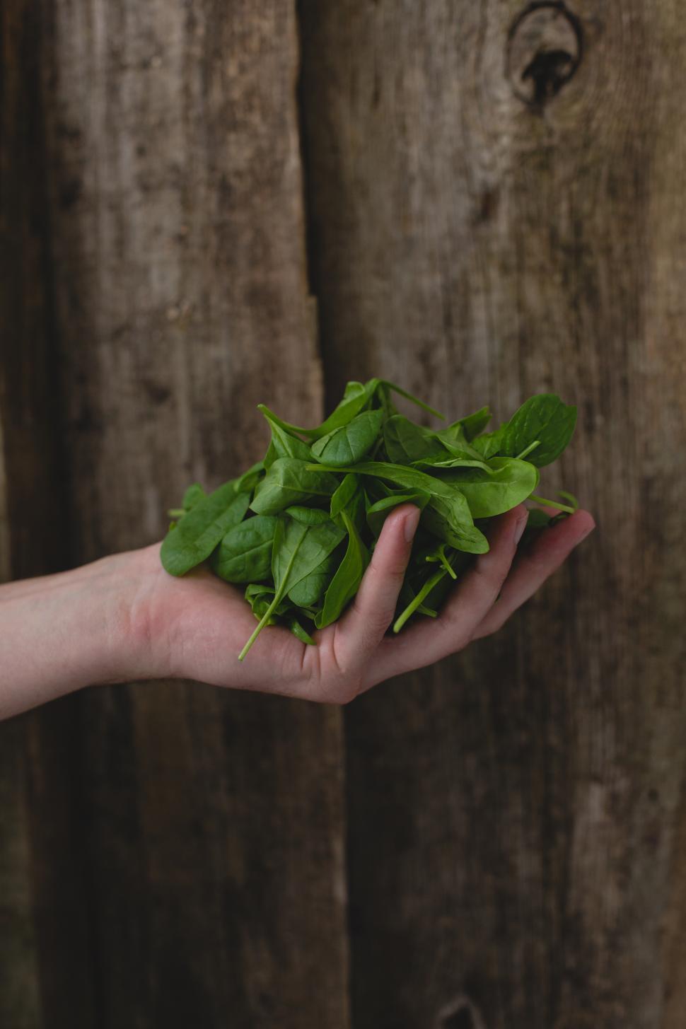 Free Image of Man holding spinach 
