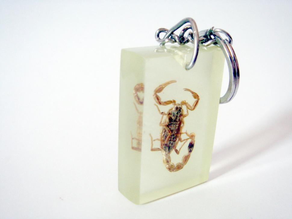 Free Image of Scorpion Keyring 