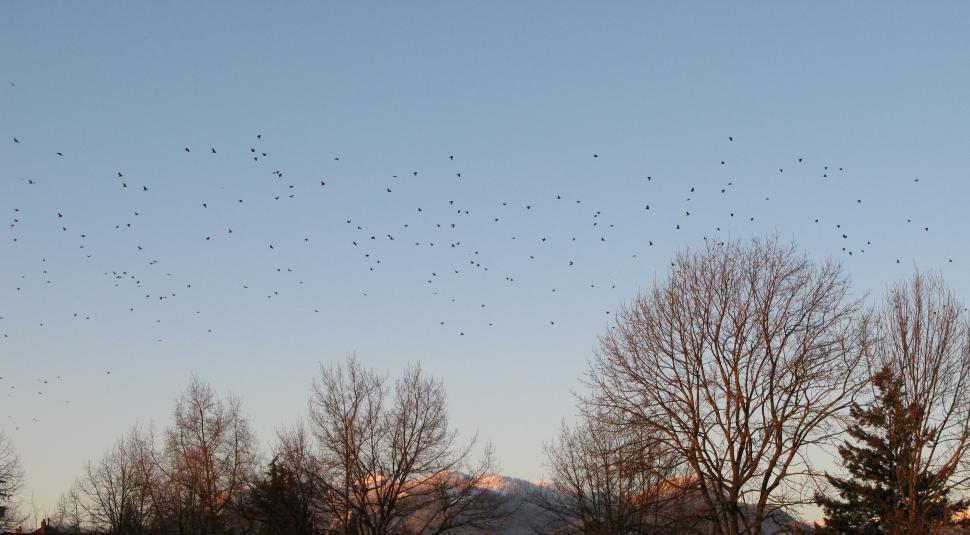 Free Image of Homeword bound 