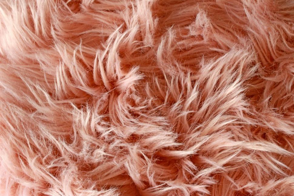 Natural brown fur texture. Animal fur close-up as background. Abstract fur  pattern. Soft surface texture. Stock Photo