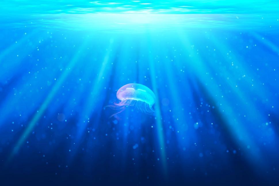 Free Stock Photo of Jellyfish Underwater Surrounded by Air Bubbles