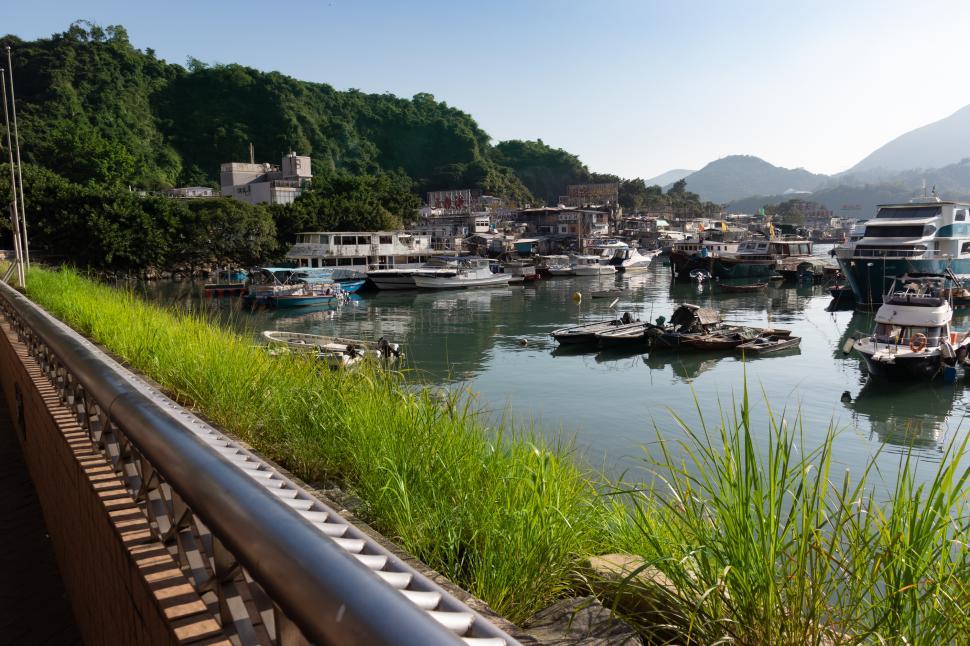 Free Image of Harbor view many boats 