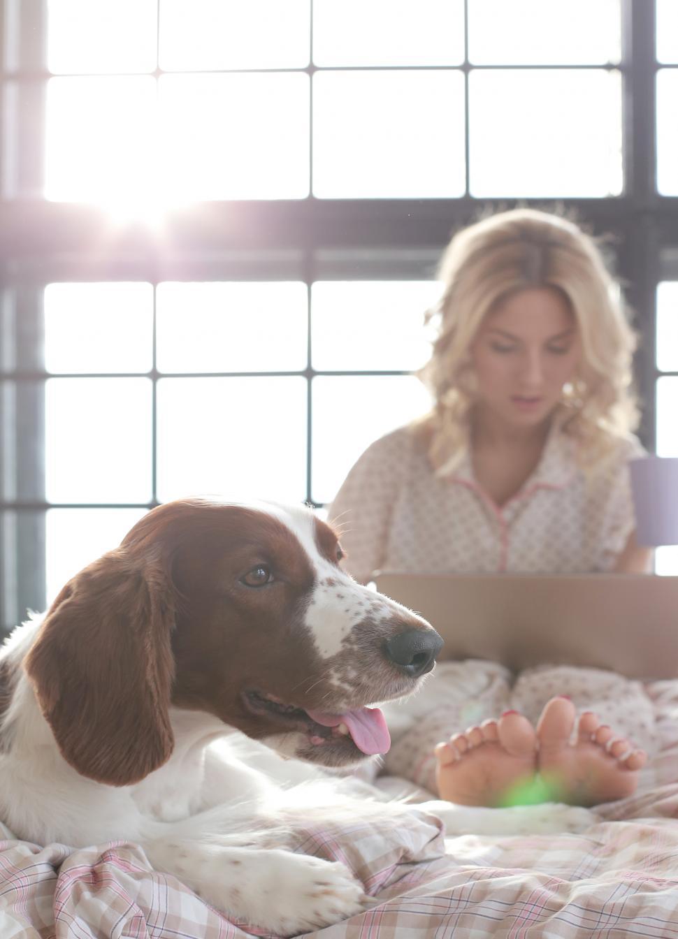 Free Stock Photo of Woman lounging in bed with her happy dog Download