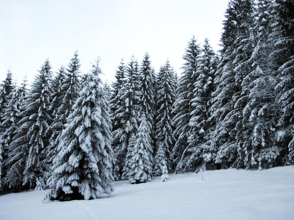 Free Stock Photo of Heavy snow over the mountains | Download Free ...