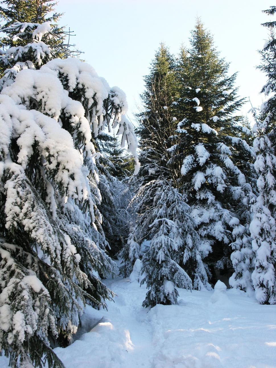 Free Stock Photo of Heavy snow over the mountains | Download Free ...