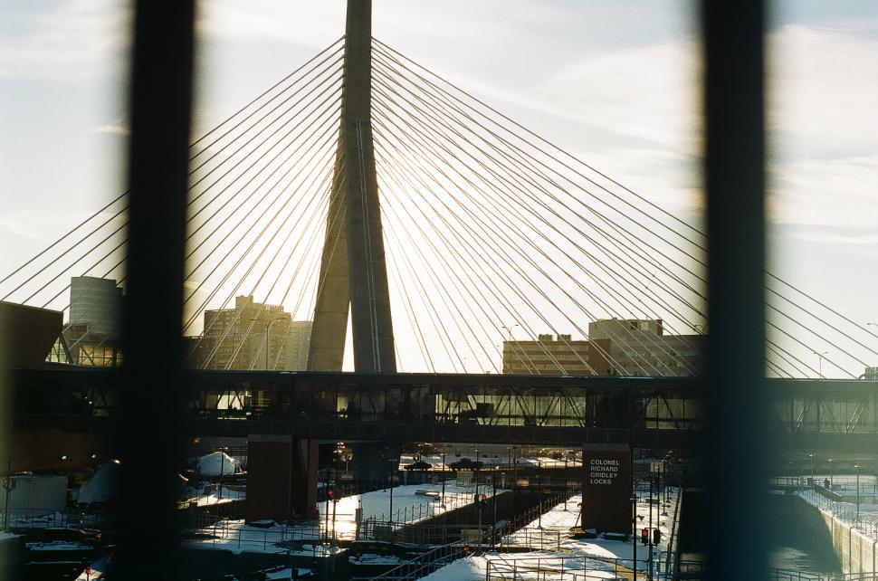 Free Image of Cable Bridge 