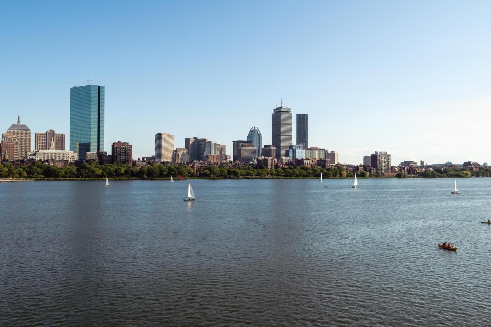 Free Image of Sailboats in river with buildings 