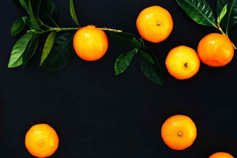 Free Image of Ripe mandarins still on the branch 