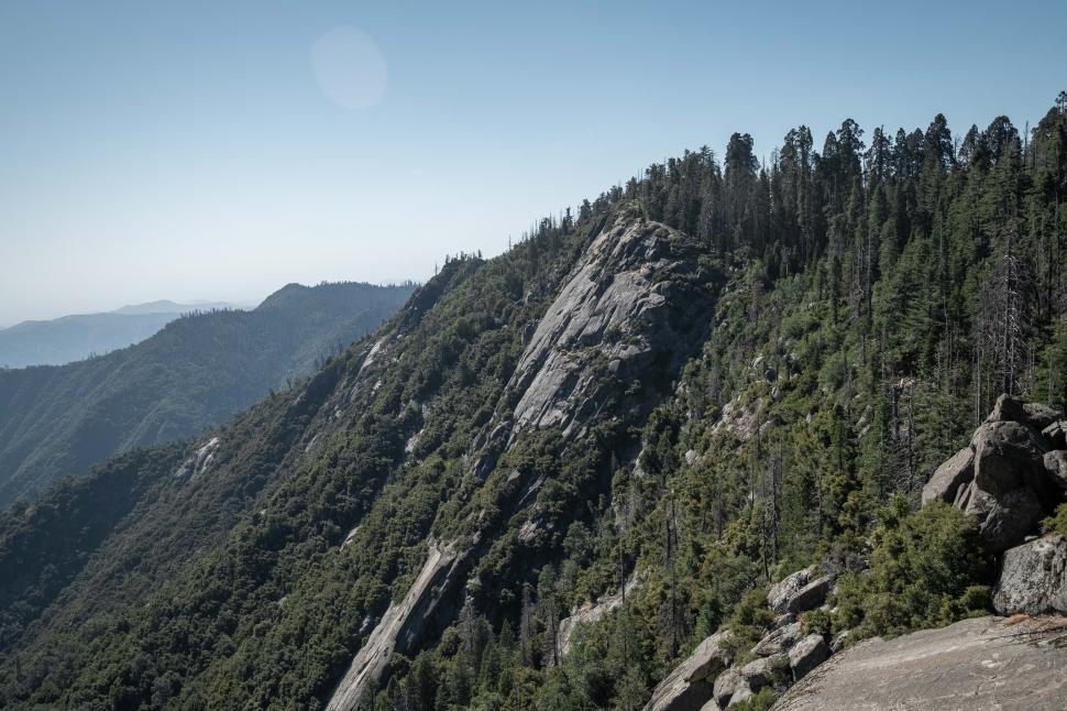 Free Image of Trees and Mountains 