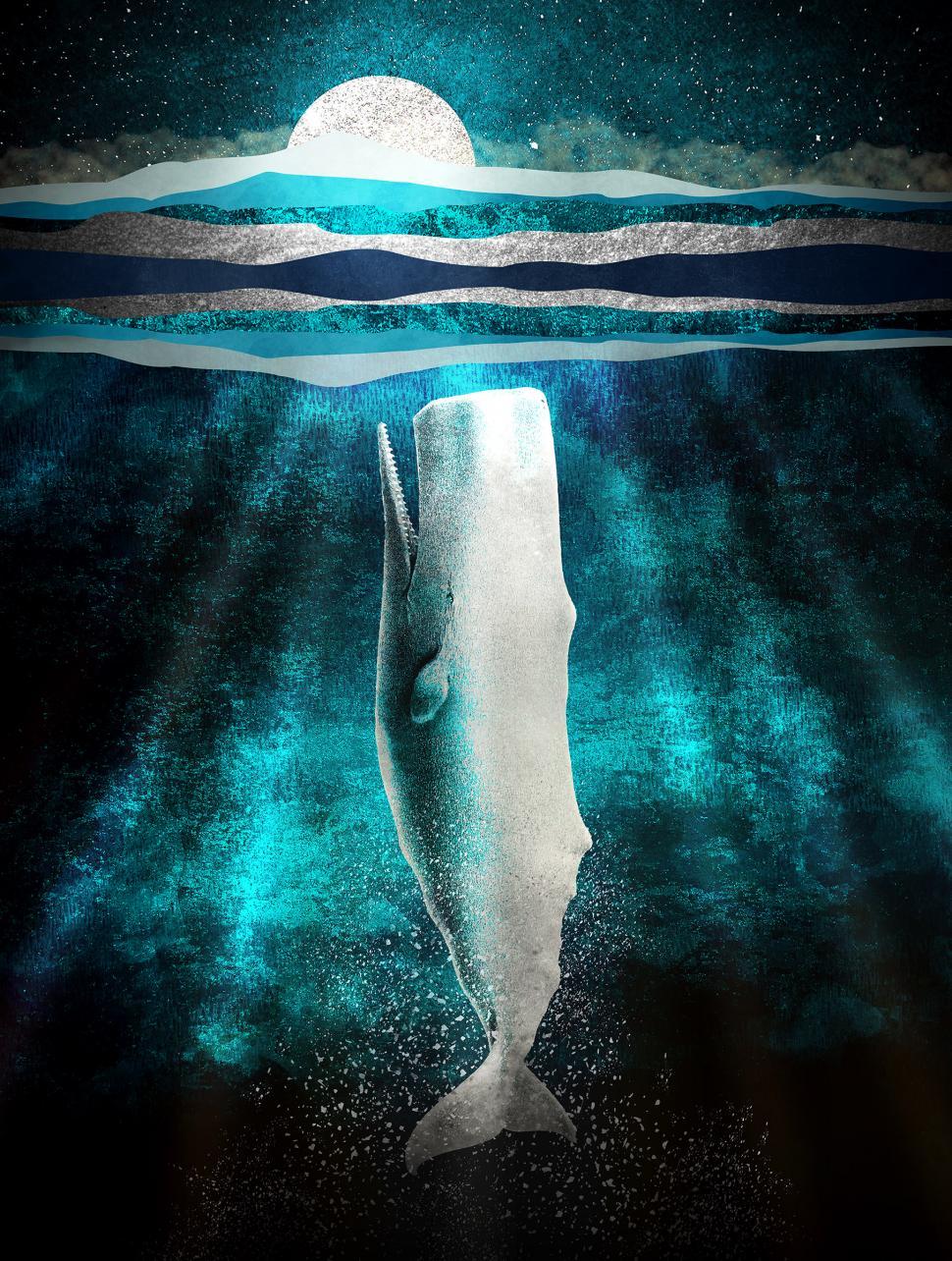 Free Image of White Sperm Whale Under the Moonlight 