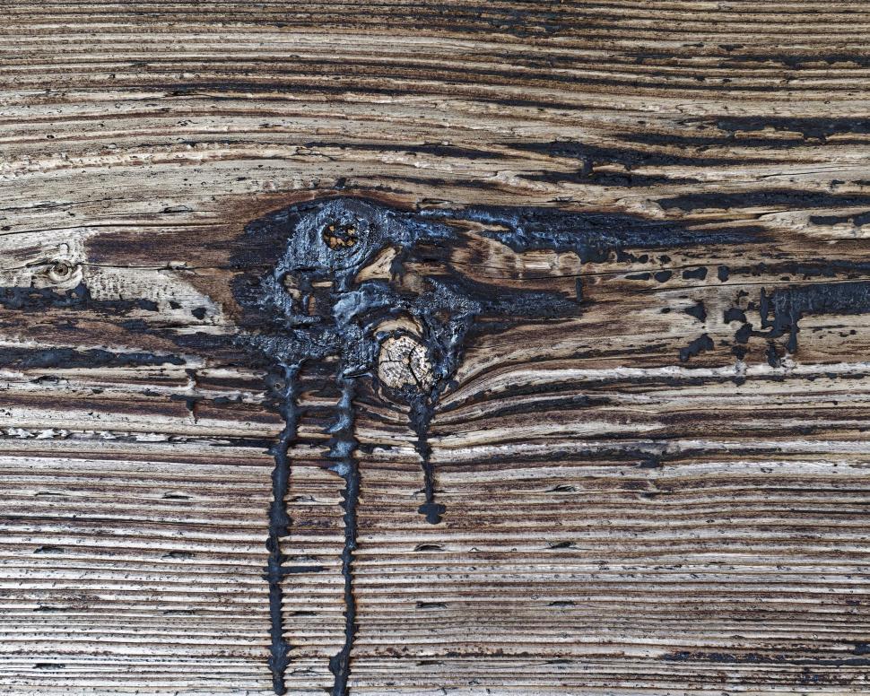 Free Image of wood surface 