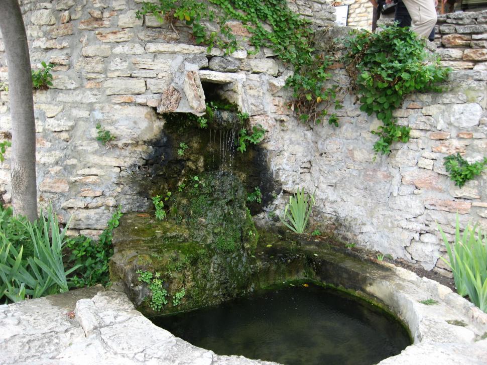 Free Image of Small garden with water ponds and lush vegetation 