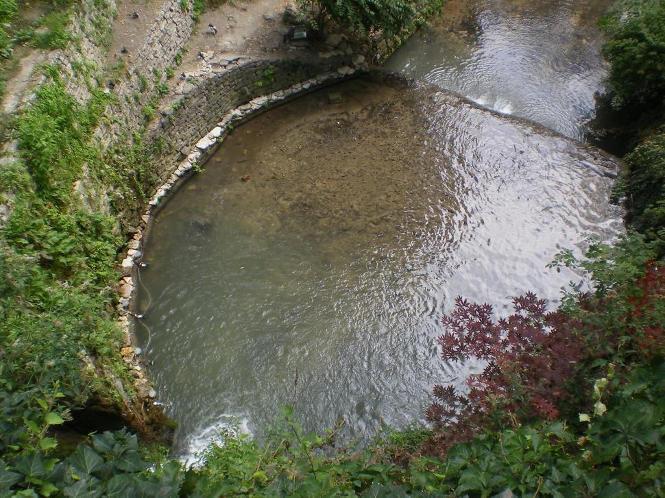 Free Image of Small garden with water ponds and lush vegetation 