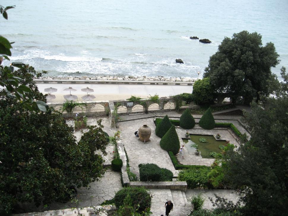 Free Image of Small garden with water ponds and lush vegetation 