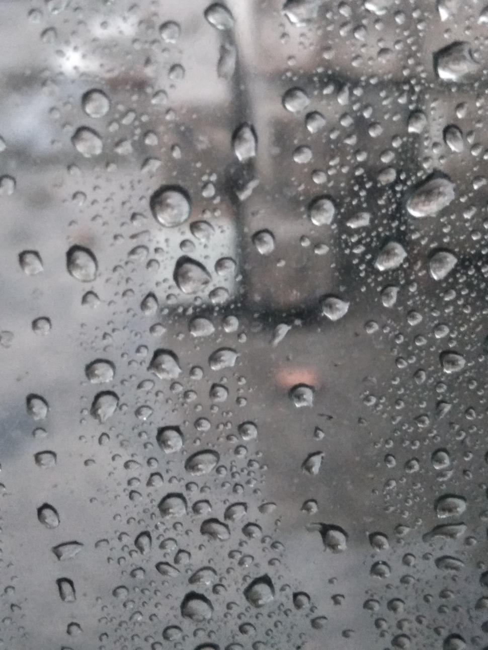 Free Image of Water and what in it  