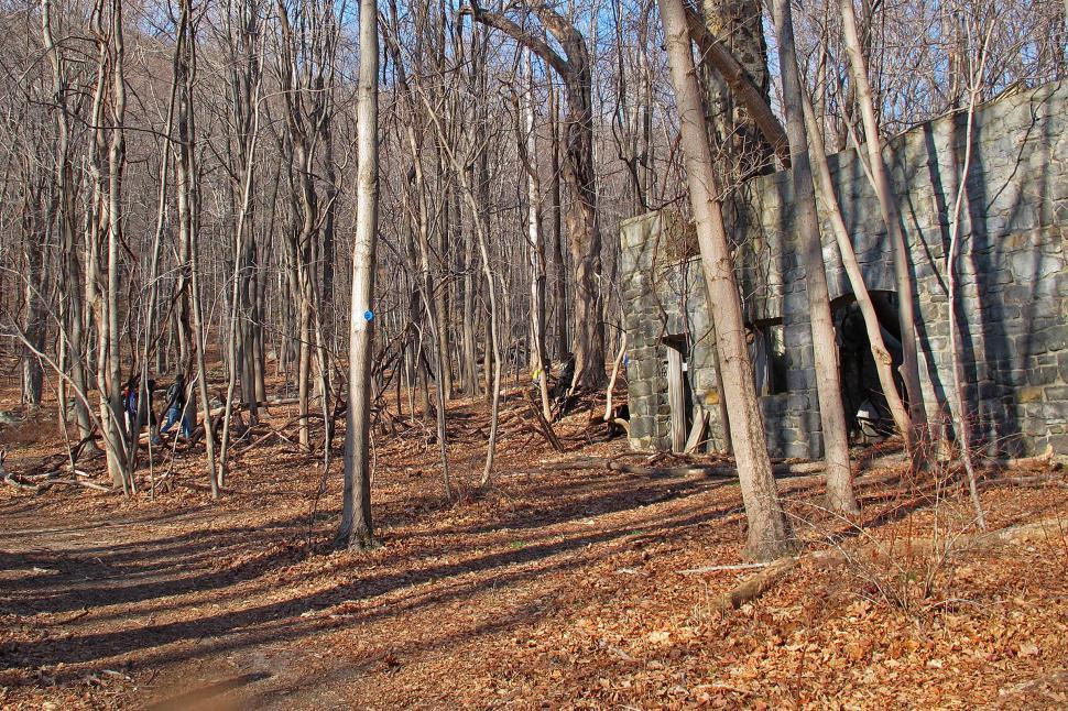 Free Image of Ruin Along A Trail 