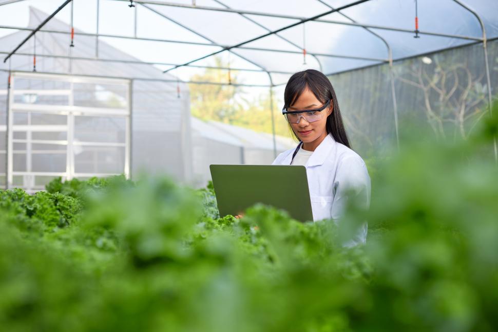 Free Stock Photo of Geneticist, biologist, or scientist studying plant ...