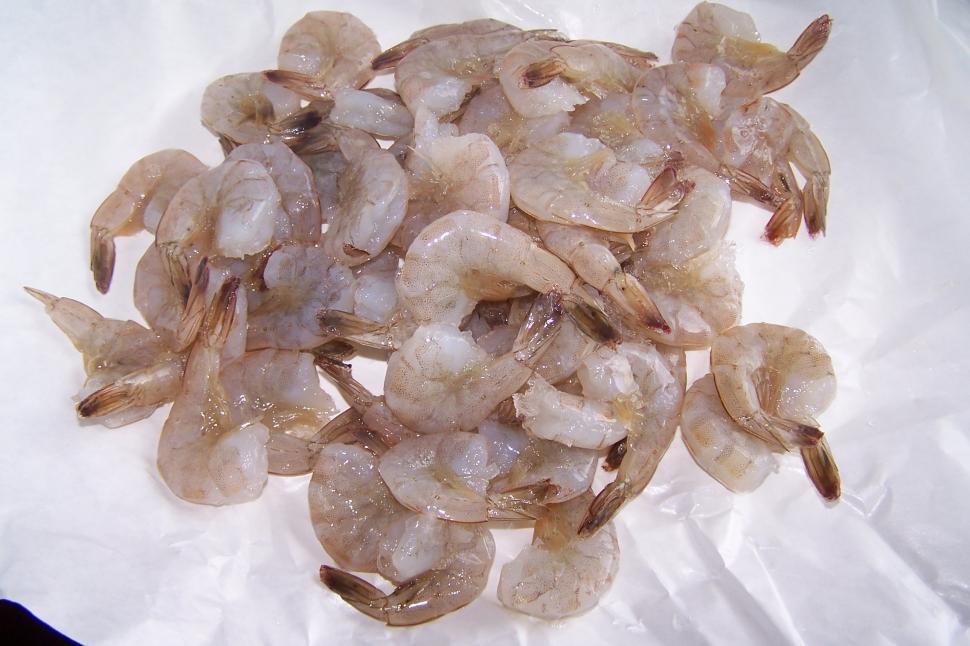 Free Image of Shrimp 
