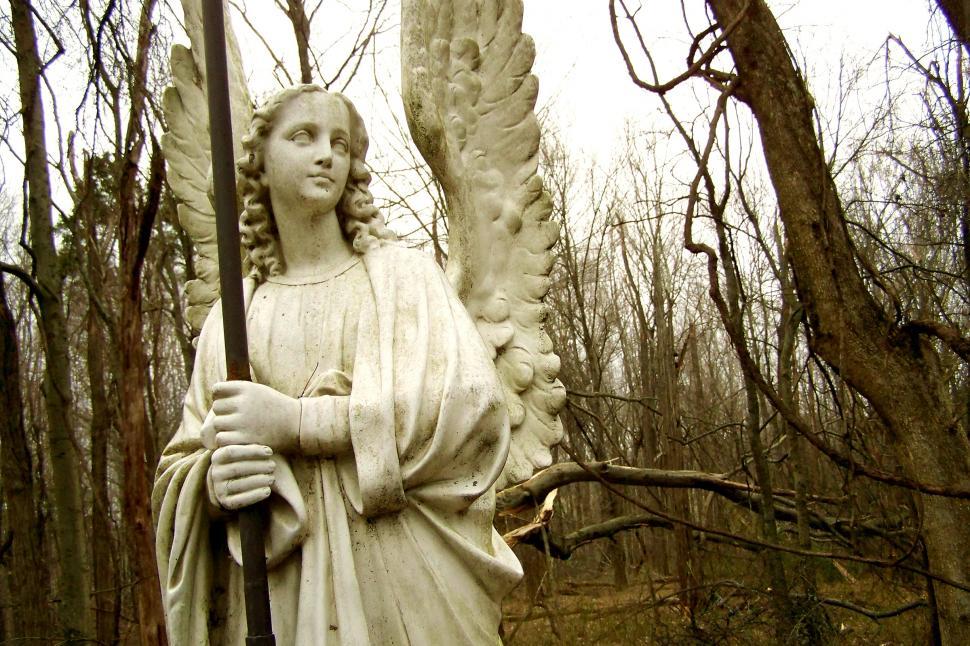 Free Stock Photo of Angel of Mercy Download Free Images and Free