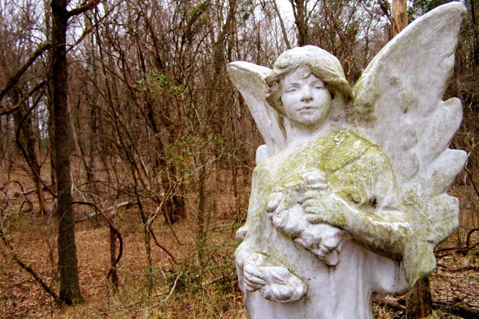 Free Image of Young Angel 