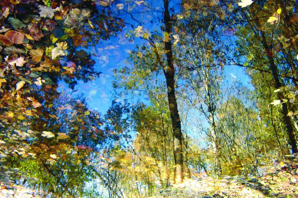 Free Stock Photo of Fall Mirror Download Free Images and Free