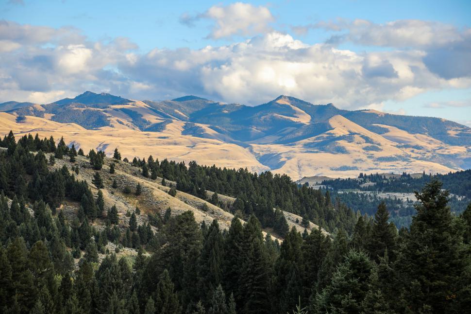 Free Stock Photo of Forest and Mountains of Montana | Download Free ...