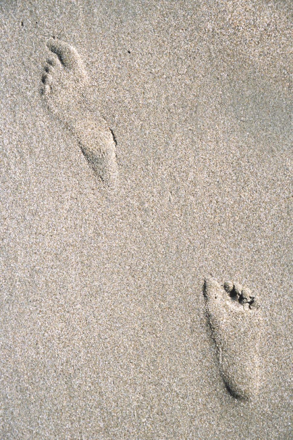 Free Stock Photo Of Footprints In The Sand Download Free Images And Free Illustrations